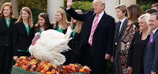 周二（11月21日），美国总统川普在白宫首次赦免火鸡，总统赦免火鸡是白宫数十年来的一项传统。(Chip Somodevilla/Getty Images)